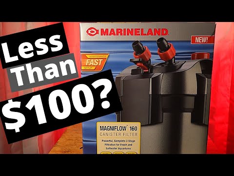 Best Canister Filter For Under $100?