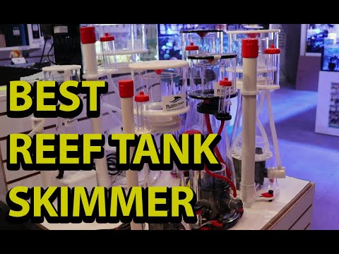 Best Reef Tank Protein Skimmer \\ Why Bubble Magus Skimmer Are Our Favorite Brand Of Skimmers