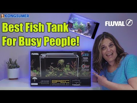 Best Silent Fish Tank for Busy People! Fluval Spec V Review Close Up in 4K!