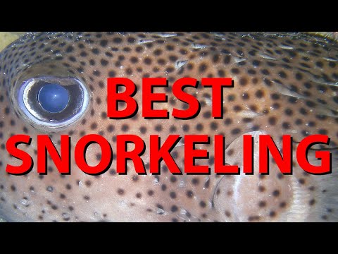 Best Snorkeling in Guam – Tumon Bay