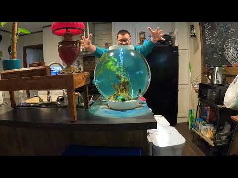 BiOrb 15 Gallon Review