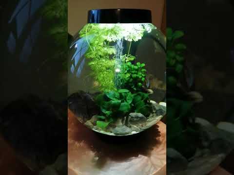 biorb 15 litres