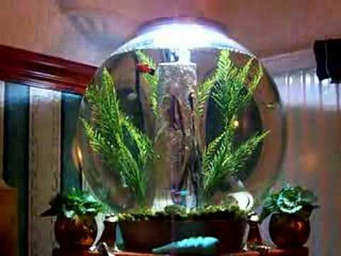 BIORB 30 LITRE FISH TANK