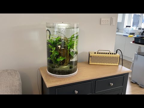 Biorb 360 Degree Aquarium Modified!
