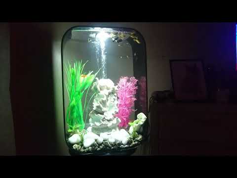 BiOrb 45l