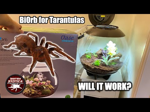 BiOrb 60 Air – Full Setup & Unboxing for Tarantulas, Frogs (Step by Step)