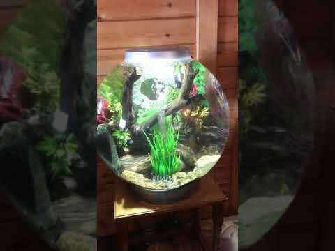 Biorb 60L