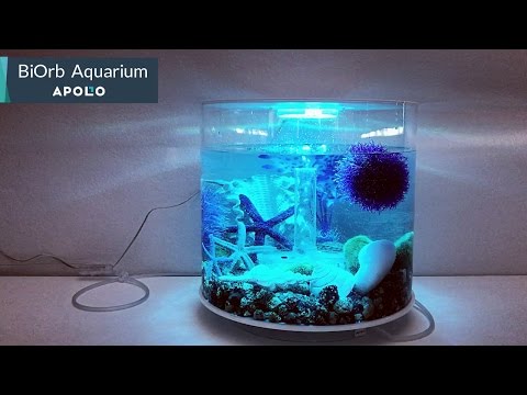 BiOrb: A Stylish & Healthy Home For Your Fish