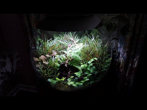 BiOrb Air 3 Month Update