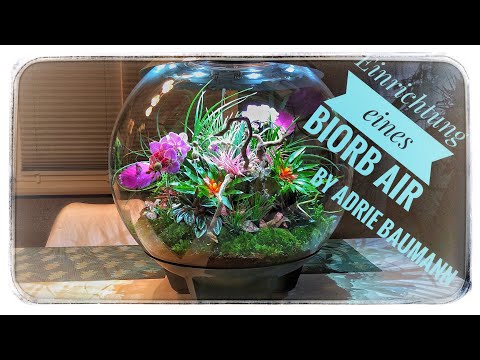 biOrb Air 60 #1