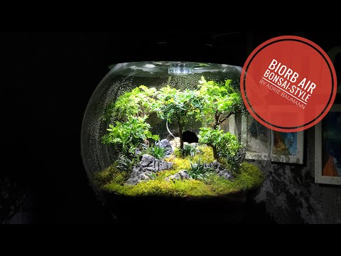 biOrb Air 60 Bonsai-Style #2