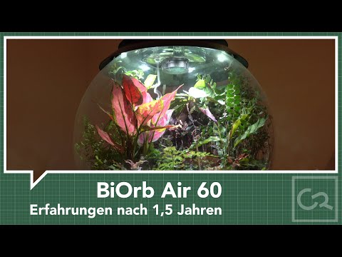 BiOrb Air 60 – Erfahrungen nach 1,5 Jahren