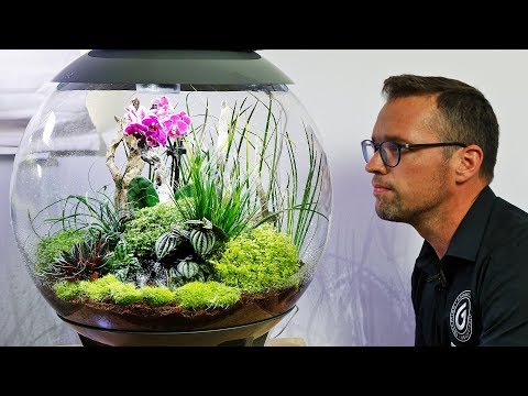 biOrb AIR 60 – Full Step by Step Tutorial Terrarium Scape