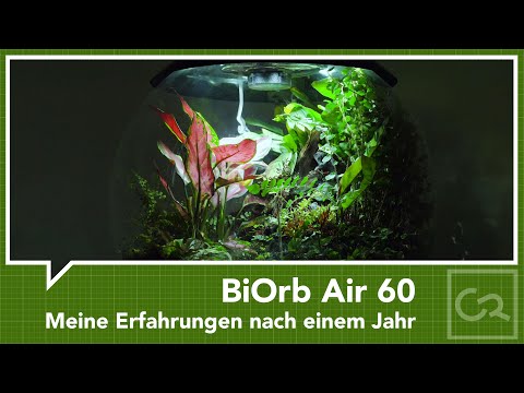 BiOrb Air 60 – Meine Erfahrungen nach einem Jahr