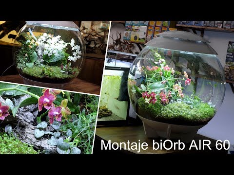Biorb AIR 60 Oase – Montaje