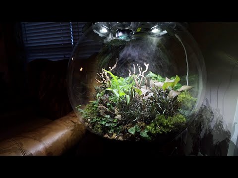 BiOrb Air 60 : Setup and Thoughts
