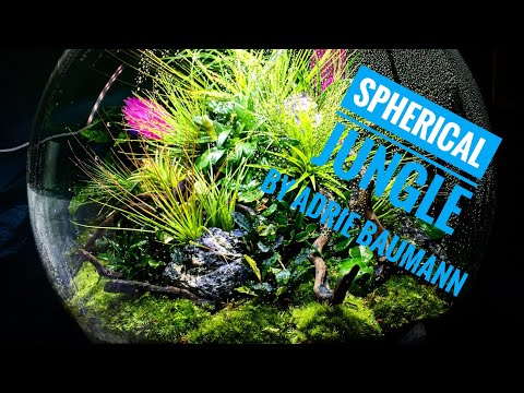 biOrb Air 60 Spherical Jungle