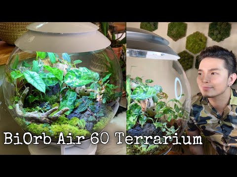 BiOrb Air 60 Terrarium | Assembly & Planting
