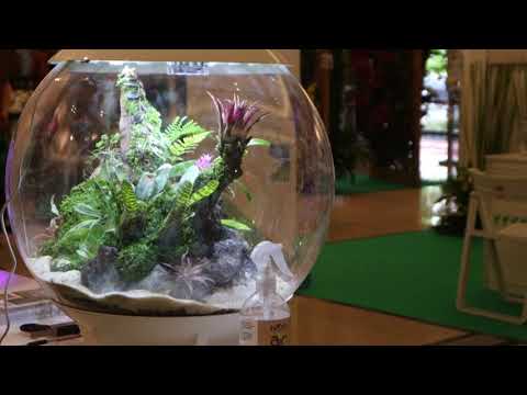 Biorb Air 60 terrarium in JIExpo PRJ jakarta