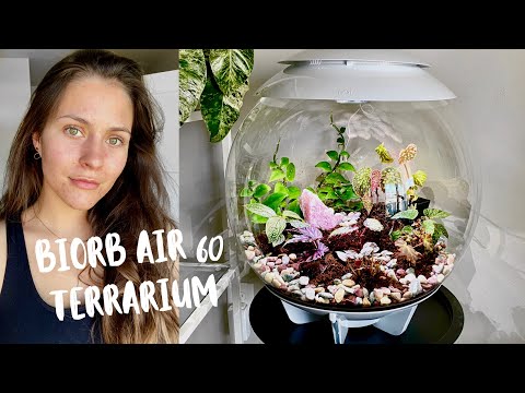 Biorb Air 60 Terrarium