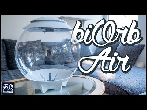 biOrb Air 60 von OASE einrichten | AquaOwner