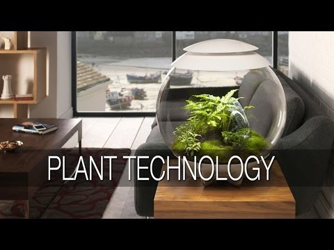 biOrb Air – Flower Tech without the Sneezing
