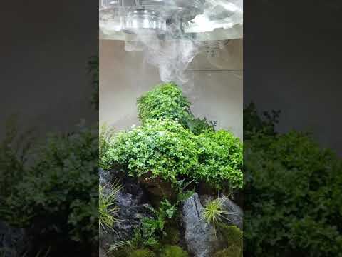 Biorb air60 Oase by Terraquarium.