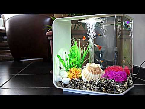 Biorb Aquarium