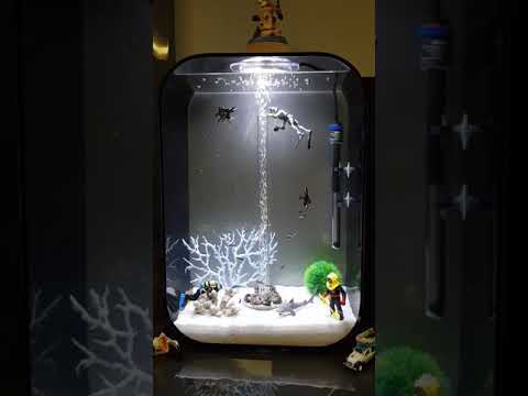 Biorb aquarium angel fish