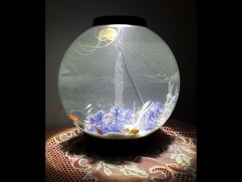Biorb Aquarium ☆