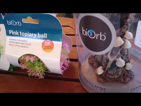 biOrb Aquarium Halo dekorieren und installieren – von biOrb24.de