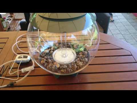biOrb Aquarium Halo von biOrb24.de – auspacken – unboxing – erste Installation