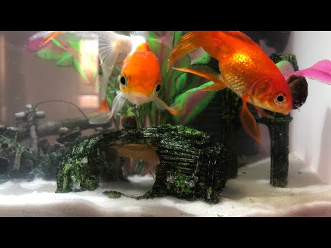 BIORB aquarium repair