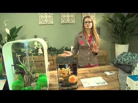 BiOrb aquarium