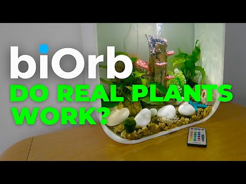 biOrb Aquariums  |  Can you add real plants?