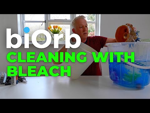 biOrb Aquariums |  How to clean plants and decorations