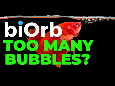 biOrb Aquariums  |  How to reduce air flow