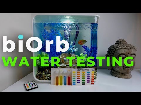 biOrb Aquariums |  How to test your water