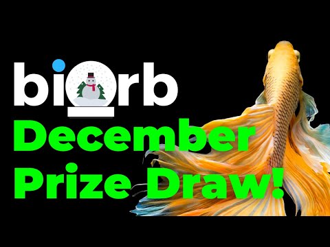 biOrb Aquariums |  You could win the December 2021 prize draw!