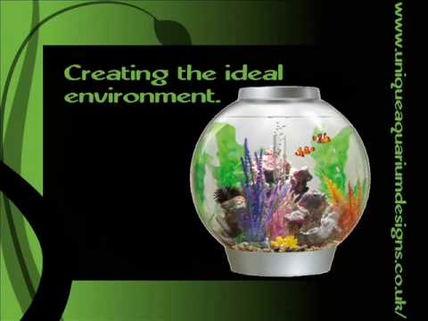 Biorb Aquariums
