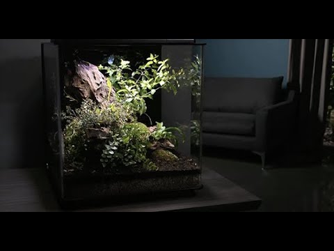 biOrb by OASE | biOrb EARTH seasonal introduction 2021/22 | EN