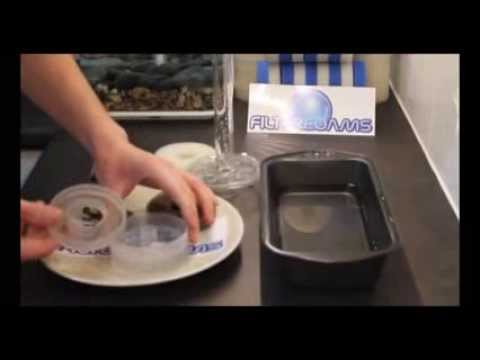 BiOrb Compatible Filter Service Kit Refill Instructional Video From Filter Foams