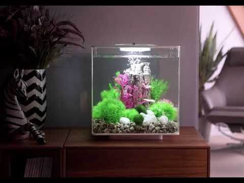 biorb cube aquarium, www.mybiorb.nl