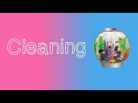 BiOrb extra | Cleaning