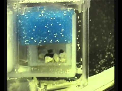 biOrb Fish Tank Filtration