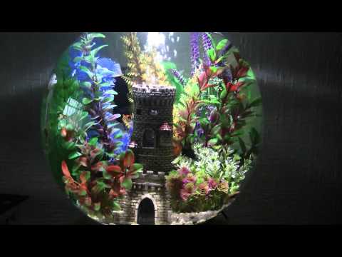 BIORB FISH TANK