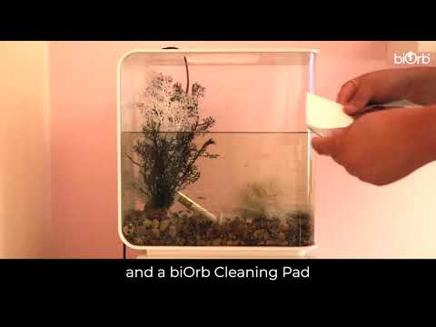 biOrb FLOW 30L Complete Cleaning Guide