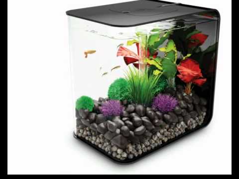 biOrb Flow 30l lifestyle-aquaristik
