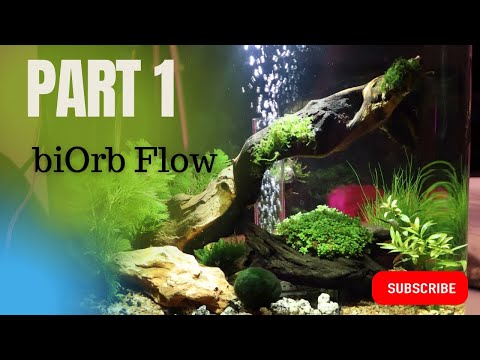 biOrb Flow ((Aquascape))((Customize))