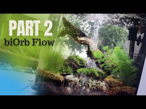 biOrb Flow part 2 ((Aquascape))((Customize))
